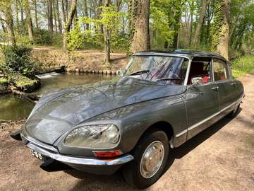 DS 20 pallas