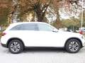 Mercedes-Benz GLC 220 GLC Diesel d 4Matic 9G-TRONIC Exclusive Weiß - thumbnail 4