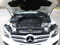 Mercedes-Benz GLC 220 GLC Diesel d 4Matic 9G-TRONIC Exclusive Weiß - thumbnail 14