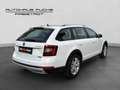 Skoda Octavia 4x4 SCOUT TDI DSG Weiß - thumbnail 5