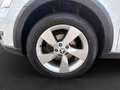 Skoda Octavia 4x4 SCOUT TDI DSG Weiß - thumbnail 9