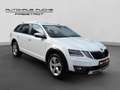 Skoda Octavia 4x4 SCOUT TDI DSG Weiß - thumbnail 7