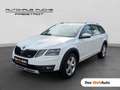Skoda Octavia 4x4 SCOUT TDI DSG Weiß - thumbnail 1