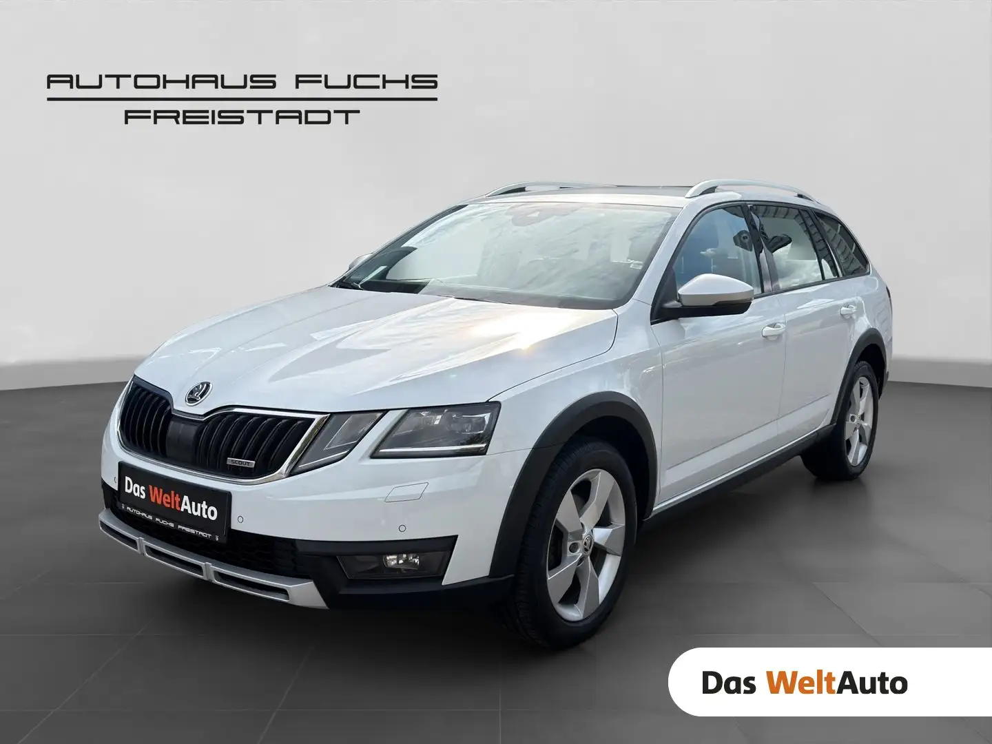 Skoda Octavia 4x4 SCOUT TDI DSG Weiß - 1