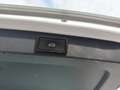 Skoda Octavia 4x4 SCOUT TDI DSG Weiß - thumbnail 12