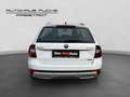 Skoda Octavia 4x4 SCOUT TDI DSG Weiß - thumbnail 4