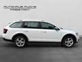 Skoda Octavia 4x4 SCOUT TDI DSG Weiß - thumbnail 6