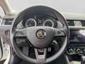 Skoda Octavia 4x4 SCOUT TDI DSG Weiß - thumbnail 14