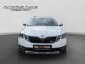 Skoda Octavia 4x4 SCOUT TDI DSG Weiß - thumbnail 8