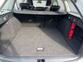 Skoda Octavia 4x4 SCOUT TDI DSG Weiß - thumbnail 13
