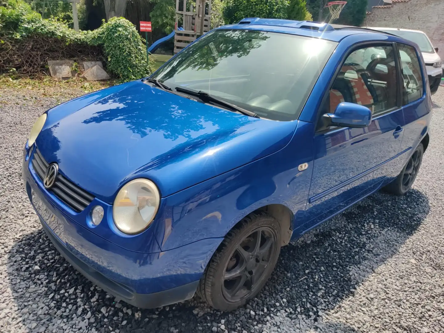 Volkswagen Lupo Lupo 1.4i Bleu - 1