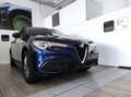 Alfa Romeo Stelvio - Stelvio 2.2 Turbodiesel 190 CV AT8 Q4 Business Blu/Azzurro - thumbnail 1