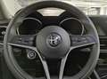 Alfa Romeo Stelvio - Stelvio 2.2 Turbodiesel 190 CV AT8 Q4 Business Blu/Azzurro - thumbnail 10