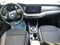 Skoda Octavia 2.0 TDI EVO SCR 150 CV DSG Wagon Executive OK NEOP Blanc - thumbnail 7
