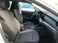 Skoda Octavia 2.0 TDI EVO SCR 150 CV DSG Wagon Executive OK NEOP Blanc - thumbnail 6
