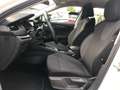 Skoda Octavia 2.0 TDI EVO SCR 150 CV DSG Wagon Executive OK NEOP Blanc - thumbnail 5