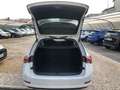 Skoda Octavia 2.0 TDI EVO SCR 150 CV DSG Wagon Executive OK NEOP Blanc - thumbnail 13