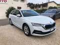 Skoda Octavia 2.0 TDI EVO SCR 150 CV DSG Wagon Executive OK NEOP Blanc - thumbnail 2