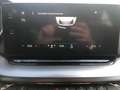 Skoda Octavia 2.0 TDI EVO SCR 150 CV DSG Wagon Executive OK NEOP Blanc - thumbnail 10
