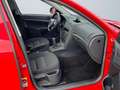 Skoda Octavia Combi Active/EURO.5/AHK/TOP/ Rot - thumbnail 11