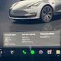 Tesla Model 3 Model 3 Langstreckenbatt. Allradantrieb Dual Motor Grau - thumbnail 16