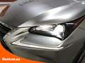 Lexus NX 300h Executive 4WD Tecno + Navibox - 5 P (2014) Grau - thumbnail 24