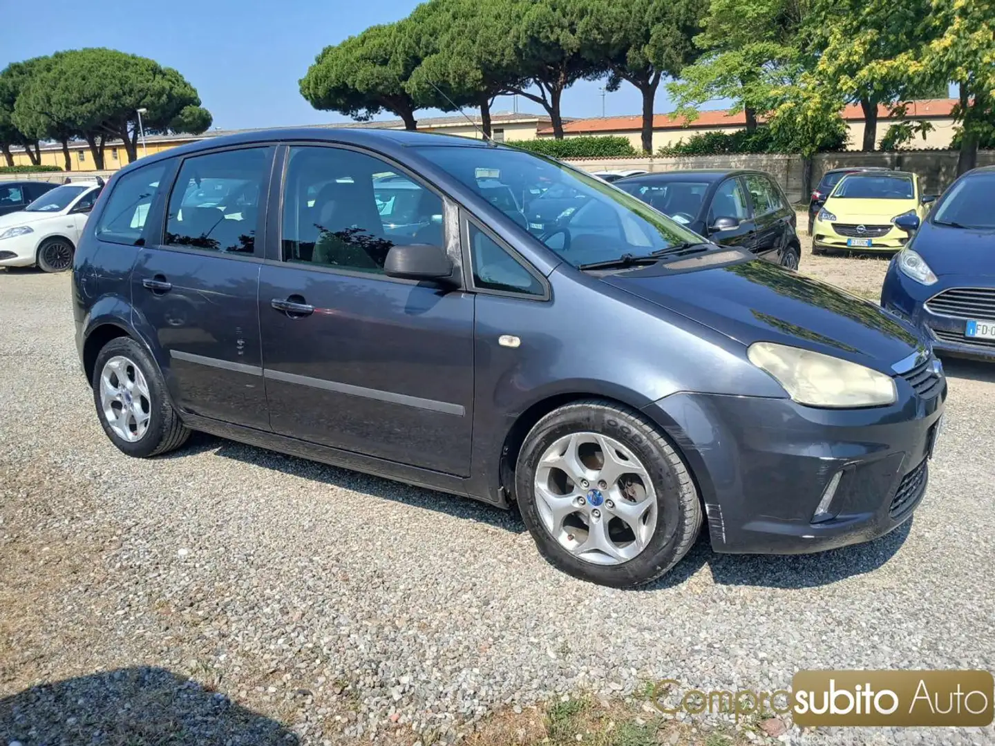 Ford C-Max + 1.6 TDCi 90 CV Argento - 2