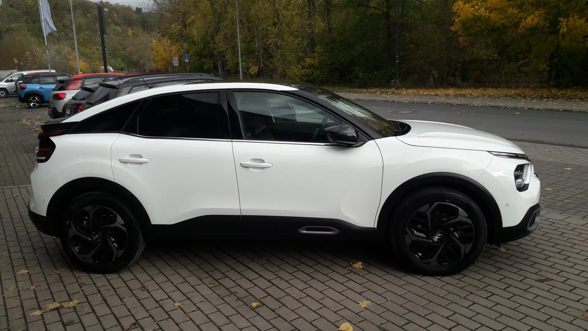 Citroen C4 Shine/Schiebed./Einph.Kam./ Teilleder/ Navi/Wi.r. Blanc - 2