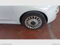 Fiat 500 1.2 Lounge - DA PREPARARE NO GARANZIA Bianco - thumbnail 5