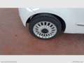 Fiat 500 1.2 Lounge - DA PREPARARE NO GARANZIA Bianco - thumbnail 8