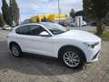 Alfa Romeo Stelvio Stelvio 2.2 Diesel 16V AT8-Q4 Super Weiß - thumbnail 2
