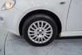 Fiat Punto 1.2 S&S Pop 51kW E6 Blanco - thumbnail 11