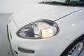 Fiat Punto 1.2 S&S Pop 51kW E6 Blanco - thumbnail 10