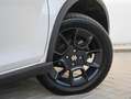 Suzuki Ignis Stijl 1.2 90pk Automaat STOELVERW. VOOR | DAB | AC Blanc - thumbnail 7