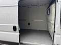 Fiat Ducato Maxi L5 H2 *KAMERA *WEBASTO* Weiß - thumbnail 19