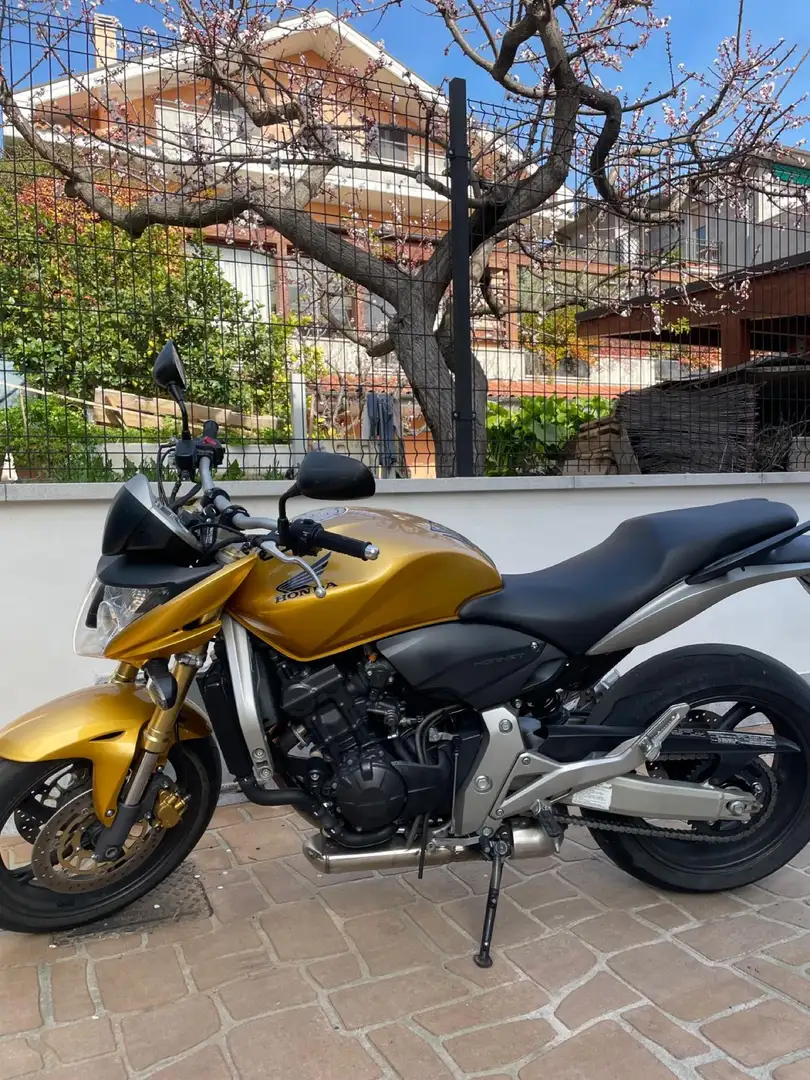 Honda Hornet - 2