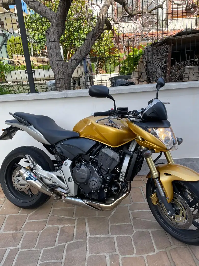 Honda Hornet - 1
