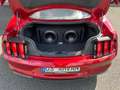 Ford Mustang 5.0 V8 GT 20er Facelift Schalter Sound Rot - thumbnail 14
