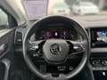 Skoda Karoq Style 125 TSI DSG ACT Grau - thumbnail 14