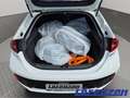 Hyundai IONIQ Plug-In 1.6 Hybrid Style Navi Soundsystem Bi-Xenon Weiß - thumbnail 15