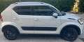 Suzuki Ignis Ignis 1.2h iTop 2wd my19 Bianco - thumbnail 4