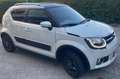 Suzuki Ignis Ignis 1.2h iTop 2wd my19 Bianco - thumbnail 1