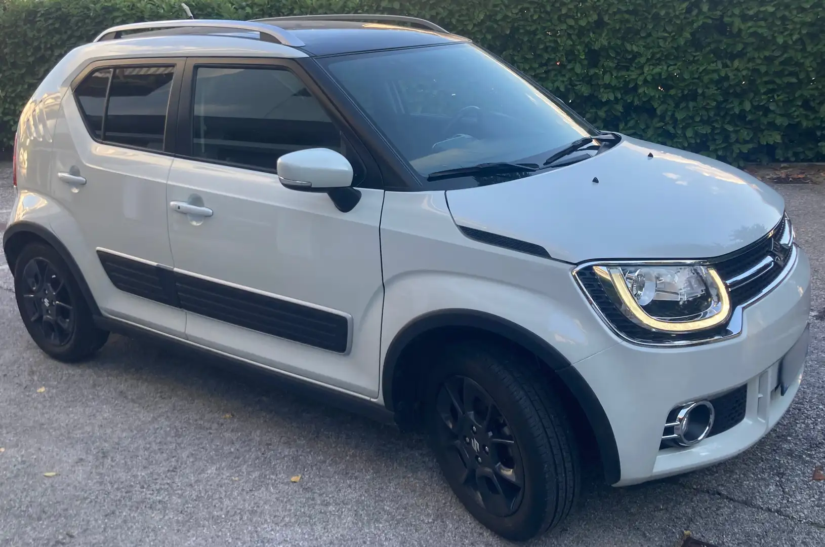 Suzuki Ignis Ignis 1.2h iTop 2wd my19 Bianco - 1