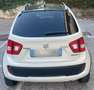 Suzuki Ignis Ignis 1.2h iTop 2wd my19 Bianco - thumbnail 5