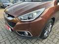 Hyundai iX35 Cup Edition 1.Hand SHZ Temp PDC TÜV NEU Braun - thumbnail 8