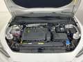 SEAT Leon 1.5 eTSI DSG-7 S&S Style Special Edition 150 Blanco - thumbnail 14