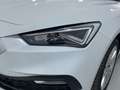 SEAT Leon 1.5 eTSI DSG-7 S&S Style Special Edition 150 Blanco - thumbnail 12