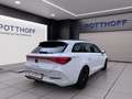 CUPRA Leon Sportstourer 1.5 eTSI DSG NAVI KAMERA KLIMA Weiß - thumbnail 5