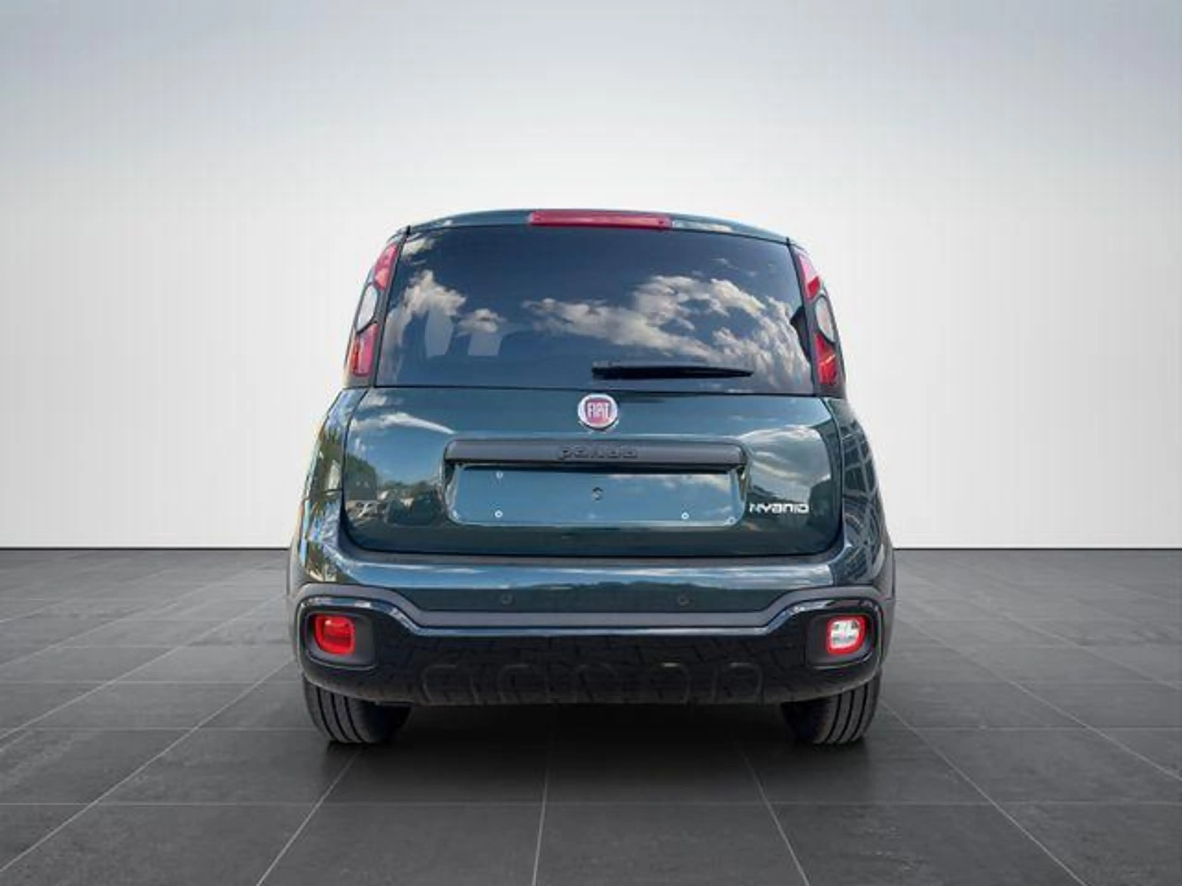 Fiat Panda Pandina Cross 1.0/PDC H/ 7" BildS/PDC 51 kW (69... — photo 5