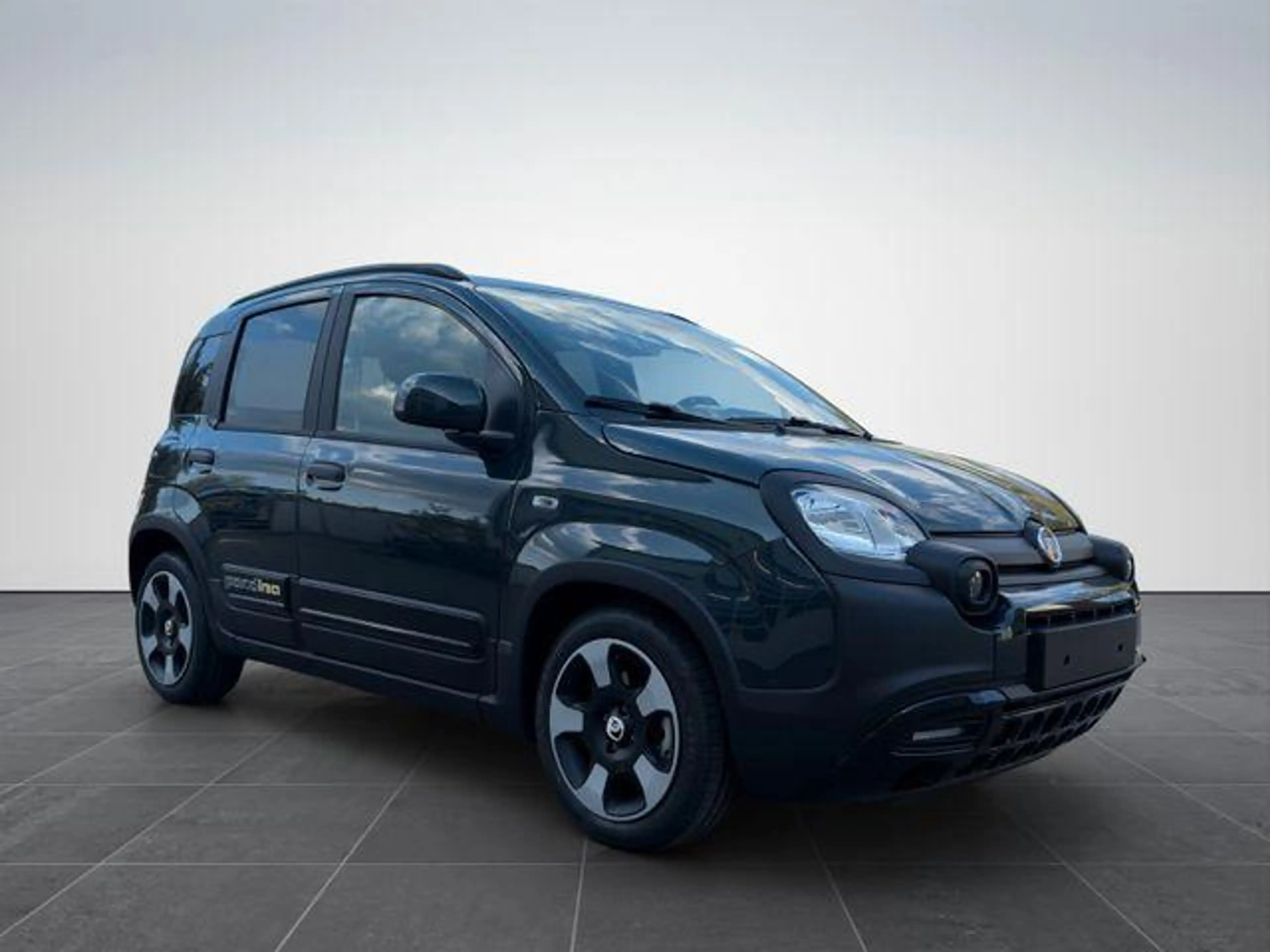 Fiat Panda Pandina Cross 1.0/PDC H/ 7" BildS/PDC 51 kW (69... — photo 3